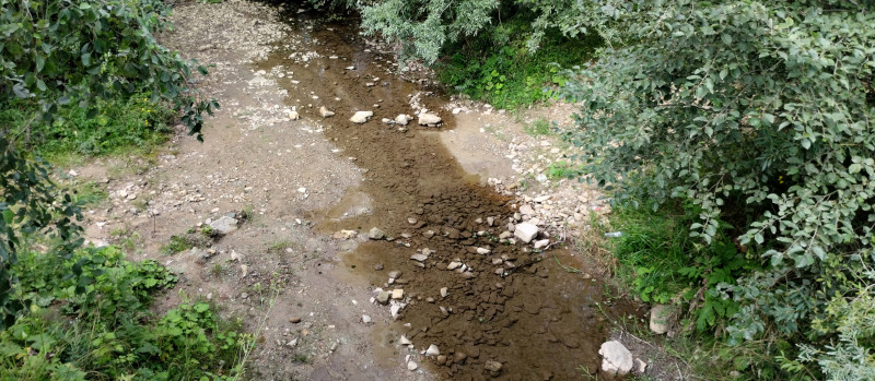 Популярний бальнеологічний курорт1 - Сходница
