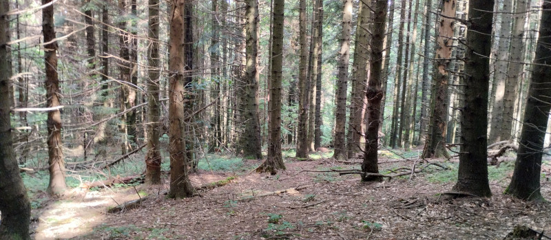 Популярний бальнеологічний курорт1 - Skhidnytsya