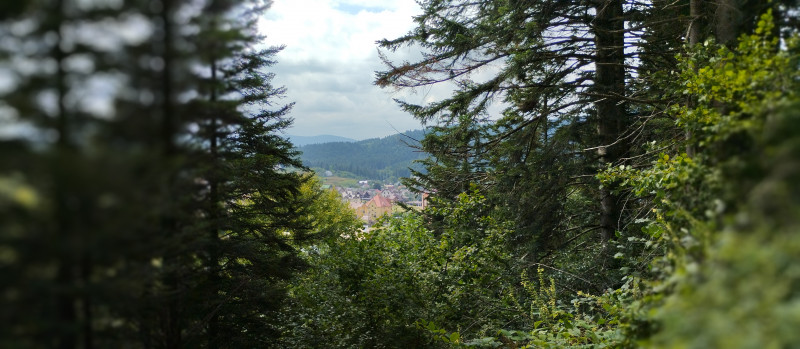 Популярний бальнеологічний курорт1 - Skhidnytsya