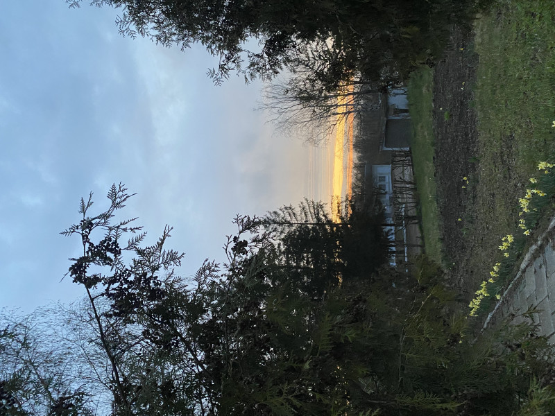 Наші фото - Саїнка