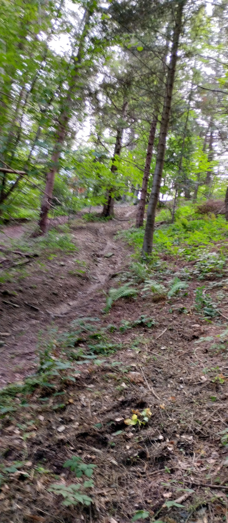 Популярний бальнеологічний курорт1 - Східниця