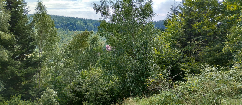 Популярний бальнеологічний курорт1 - Skhidnytsya