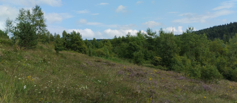 Популярний бальнеологічний курорт1 - Skhidnytsya