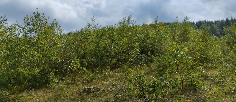 Популярний бальнеологічний курорт1 - Skhidnytsya
