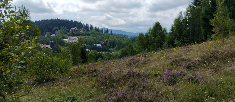 Популярний бальнеологічний курорт1 - Skhidnytsya