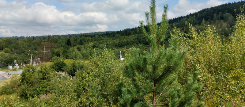 Популярний бальнеологічний курорт1 - Skhidnytsya