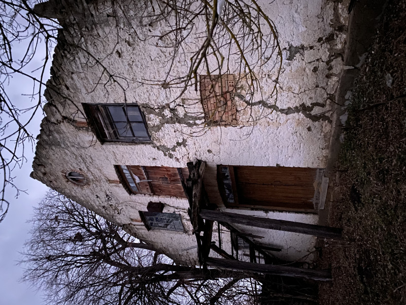 Наші фото - Саїнка