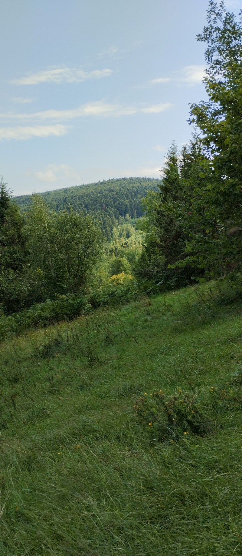 Популярний бальнеологічний курорт1 - Східниця