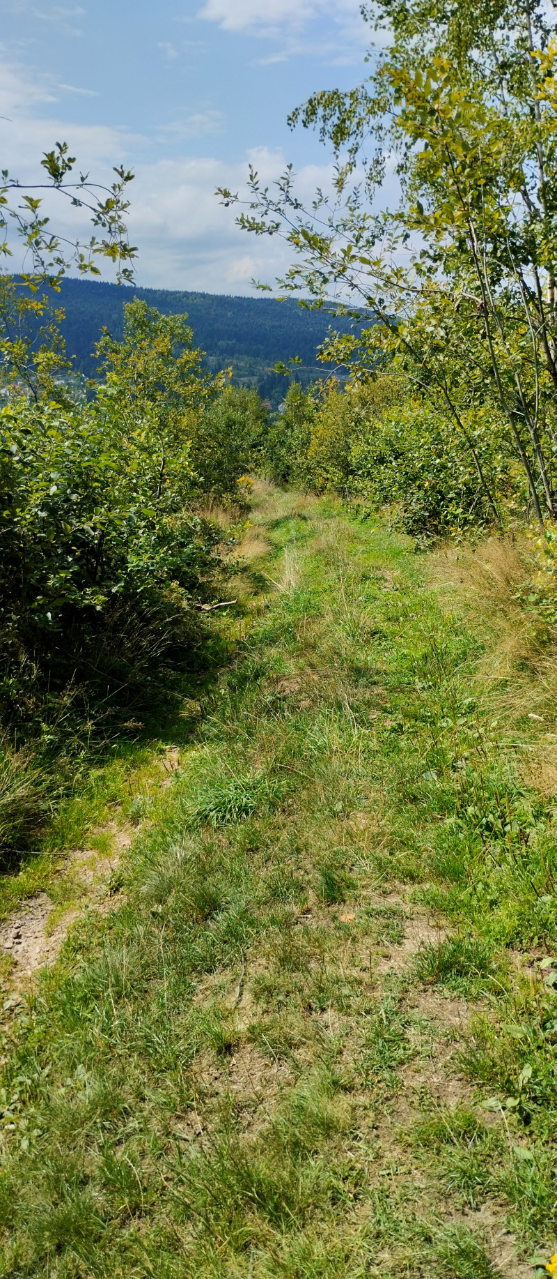 Популярний бальнеологічний курорт1 - Східниця