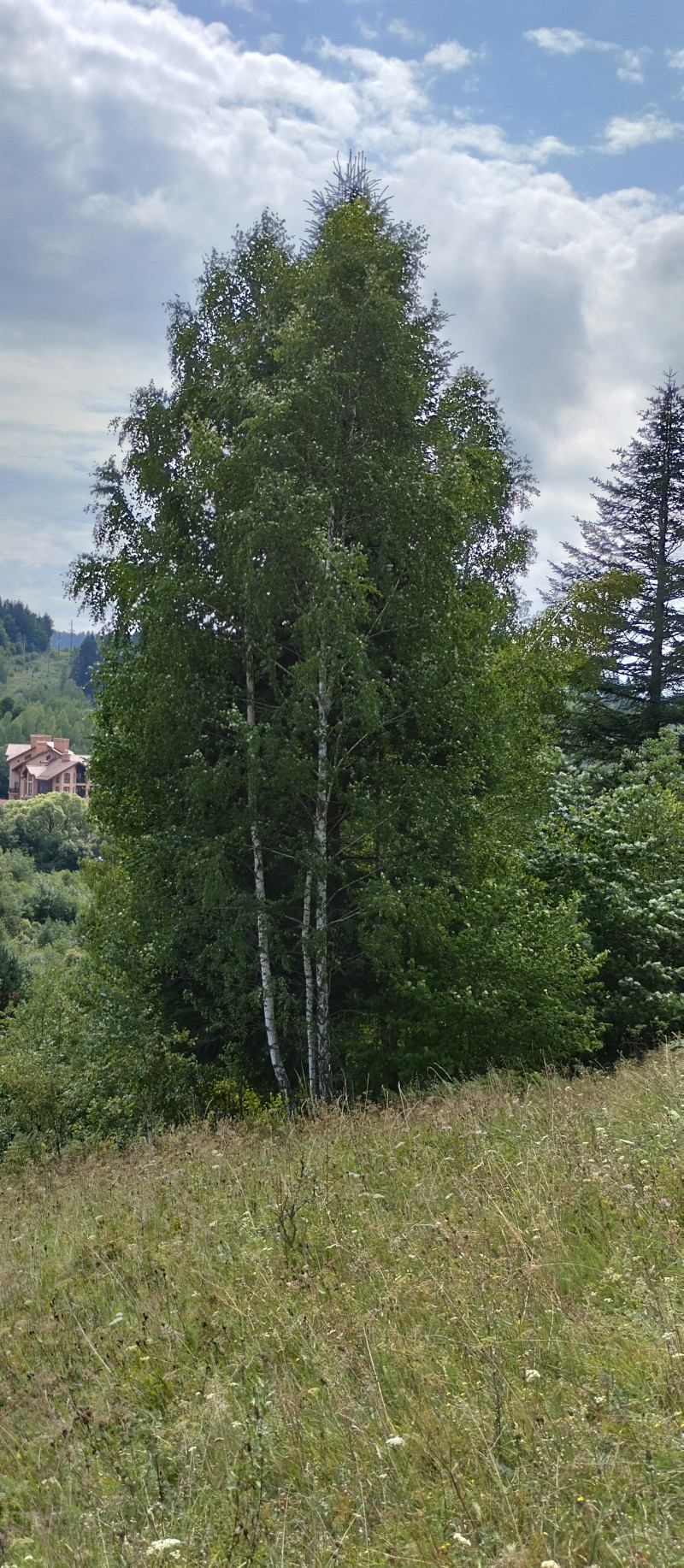 Популярний бальнеологічний курорт1 - Skhidnytsya
