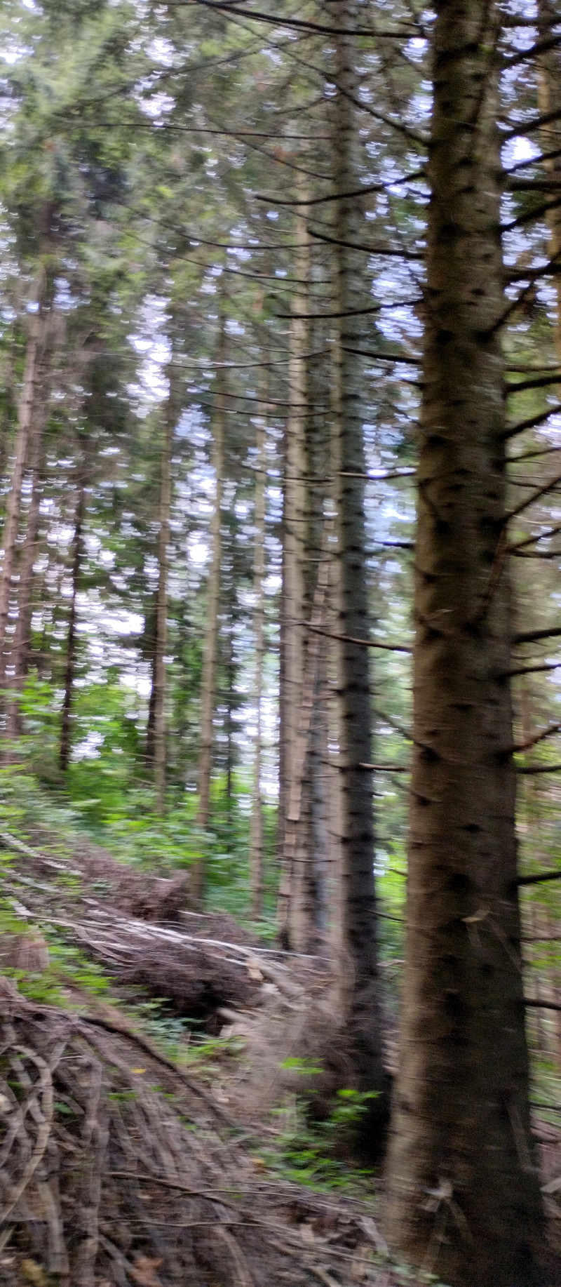 Популярний бальнеологічний курорт1 - Східниця