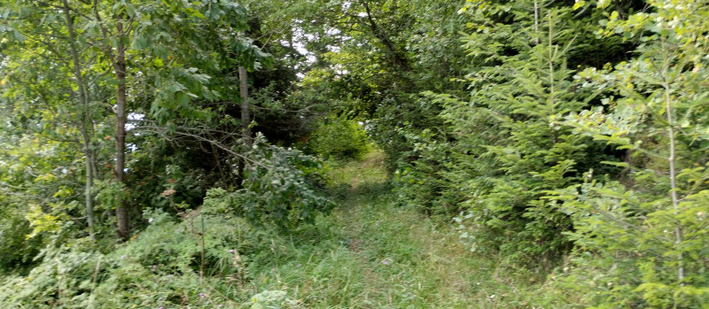 Популярний бальнеологічний курорт1 - Skhidnytsya