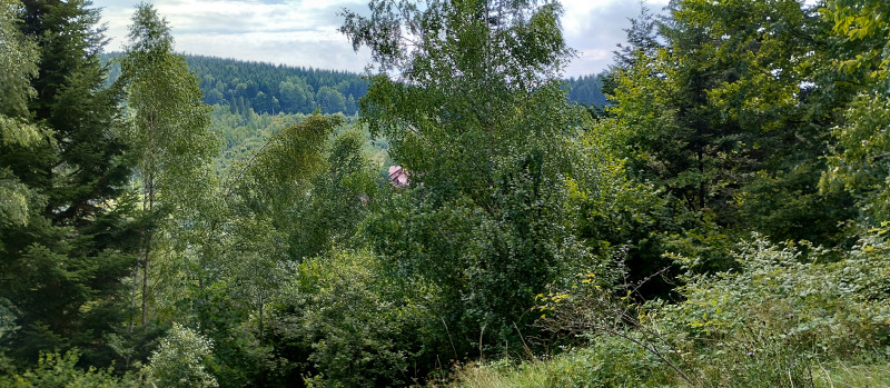 Популярний бальнеологічний курорт1 - Східниця