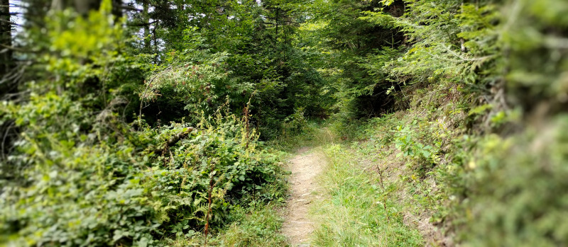 Популярний бальнеологічний курорт1 - Східниця