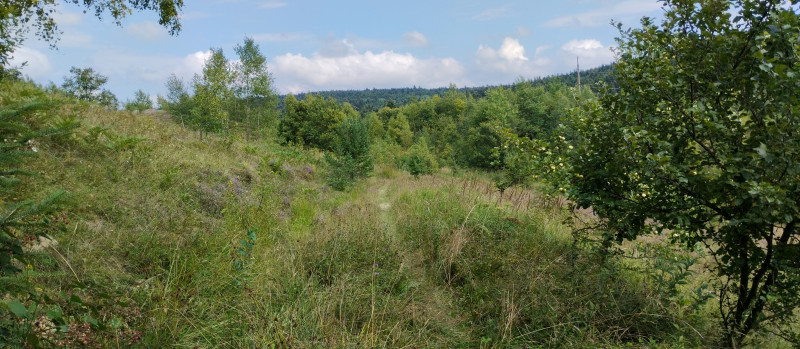 Популярний бальнеологічний курорт1 - Skhidnytsya