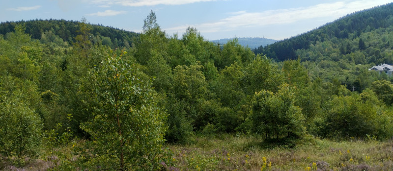Популярний бальнеологічний курорт1 - Skhidnytsya