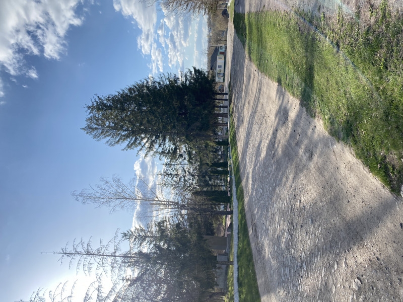 Наші фото - Саїнка