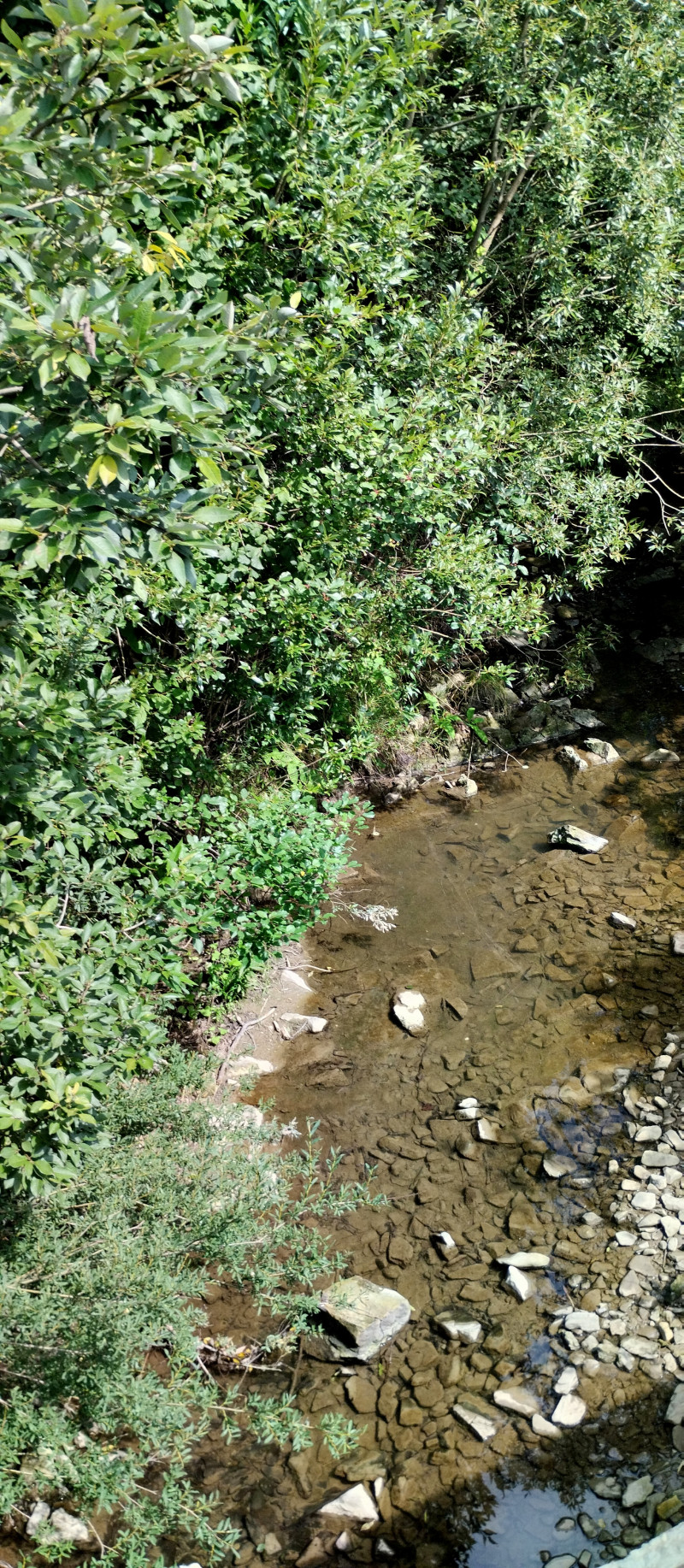 Популярний бальнеологічний курорт1 - Східниця