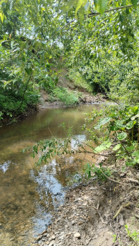 річка Жижава