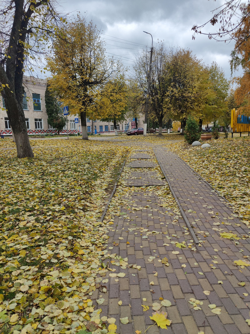 Наші фото - Носовка