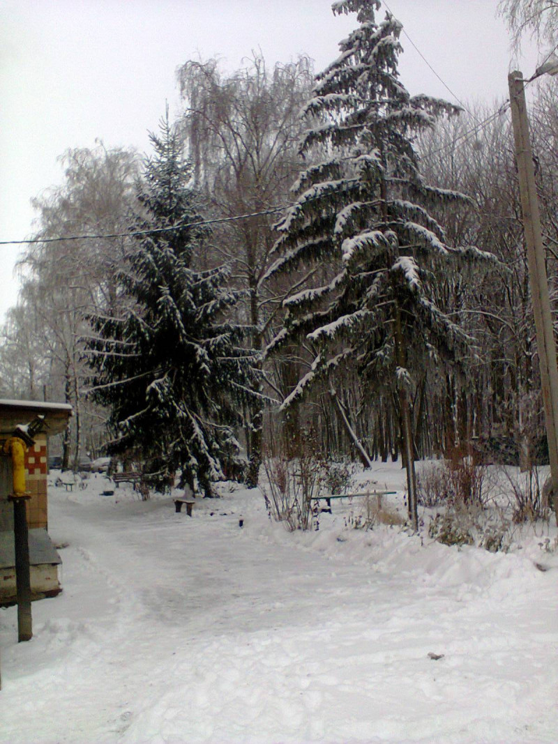 БАМ - 5 - Шпола