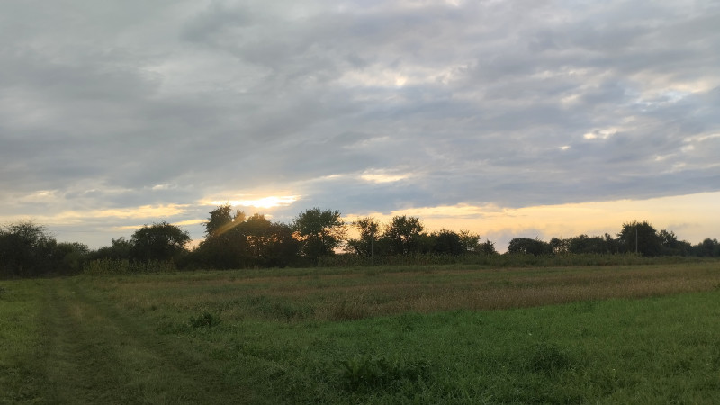 Краєвид 5 - Держів