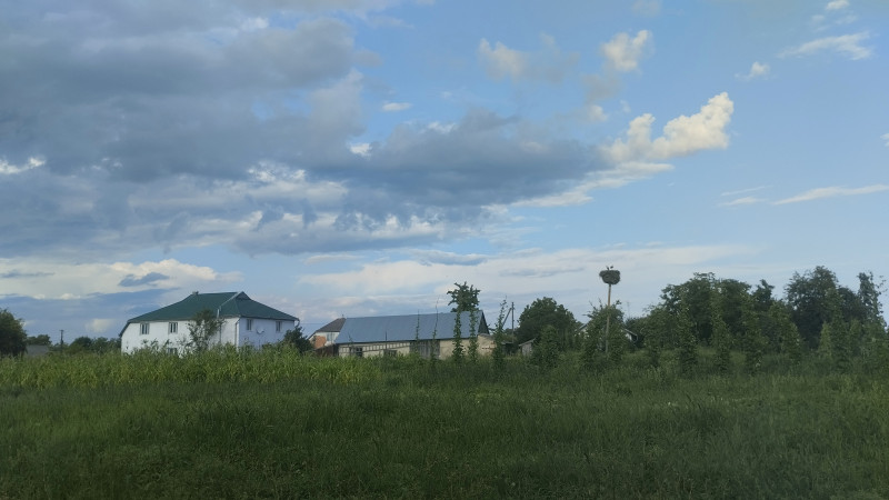 Краєвид 5 - Держев