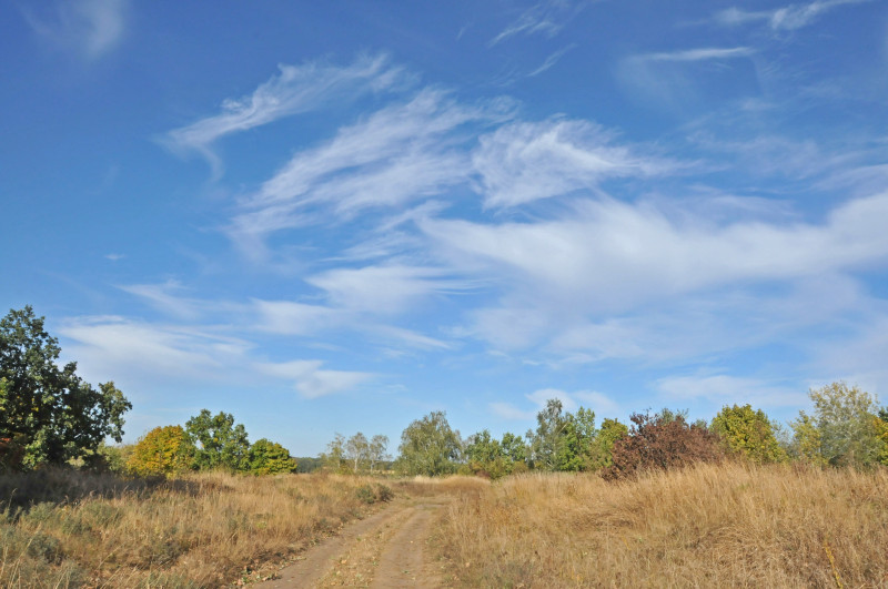 Тростинка - Тростинка