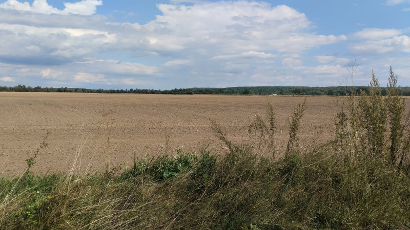 краєвид 2 - Verkhnya Lukavytsya
