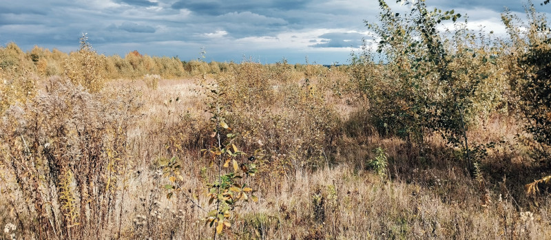 краєвид 2 - Verkhnya Lukavytsya