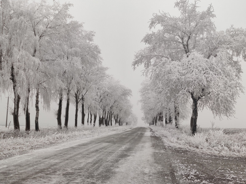 Природа нашого краю - Снитков