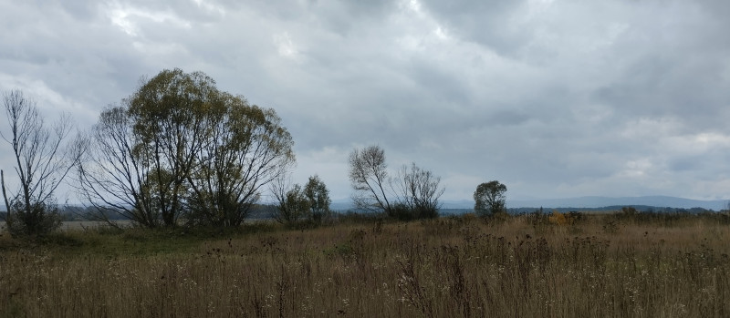 краєвид 2 - Verkhnya Lukavytsya