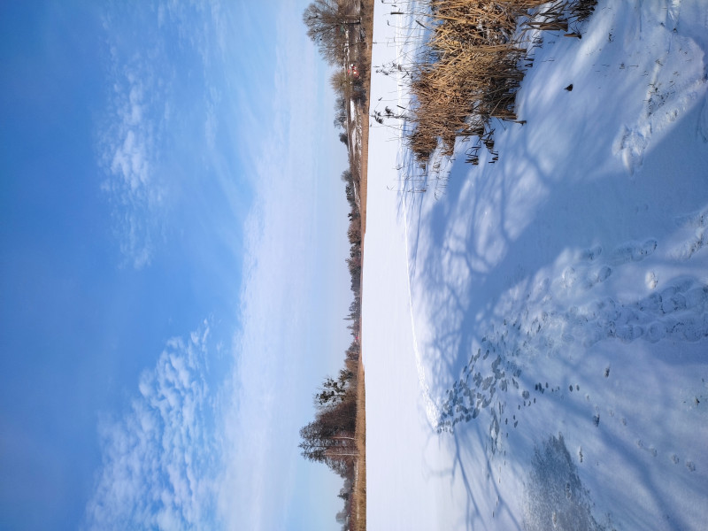 Бишів після обстрілів - Бышев