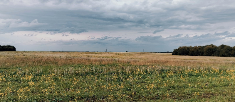 краєвид 2 - Verkhnya Lukavytsya