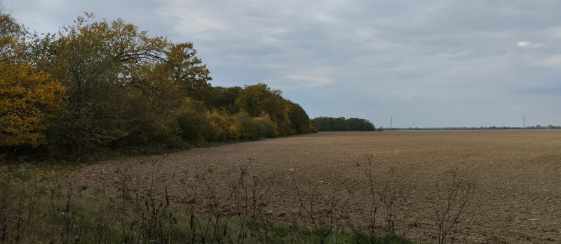 краєвид 2 - Verkhnya Lukavytsya
