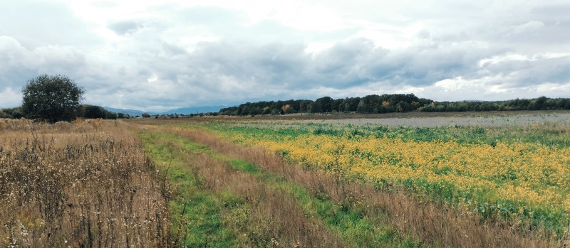 краєвид 2 - Verkhnya Lukavytsya