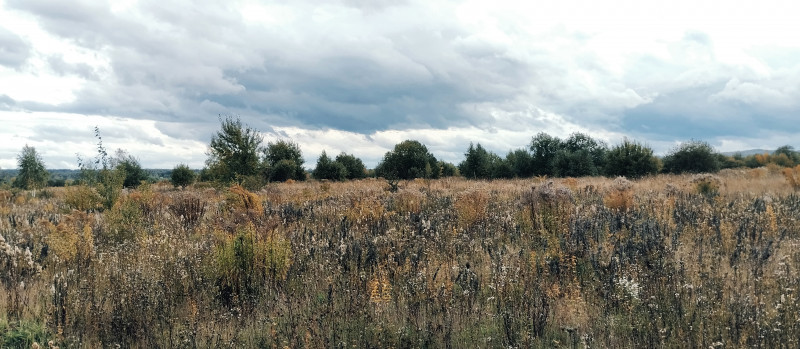 краєвид 2 - Verkhnya Lukavytsya