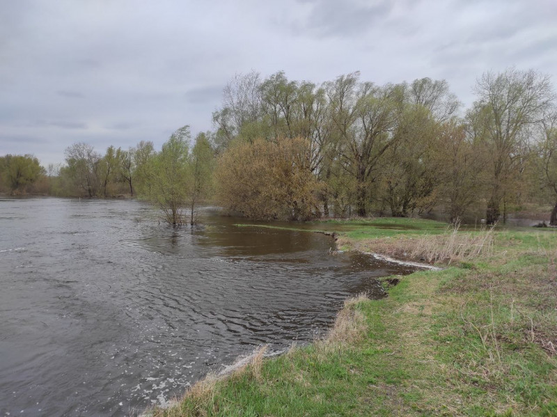 Десна 2023 - Ушня