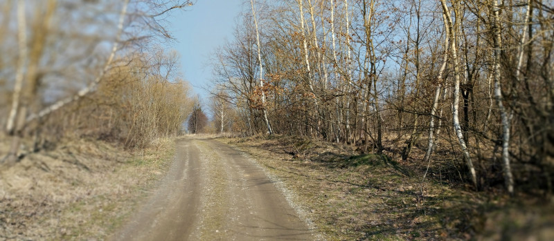 краєвид 3 - Горишнее