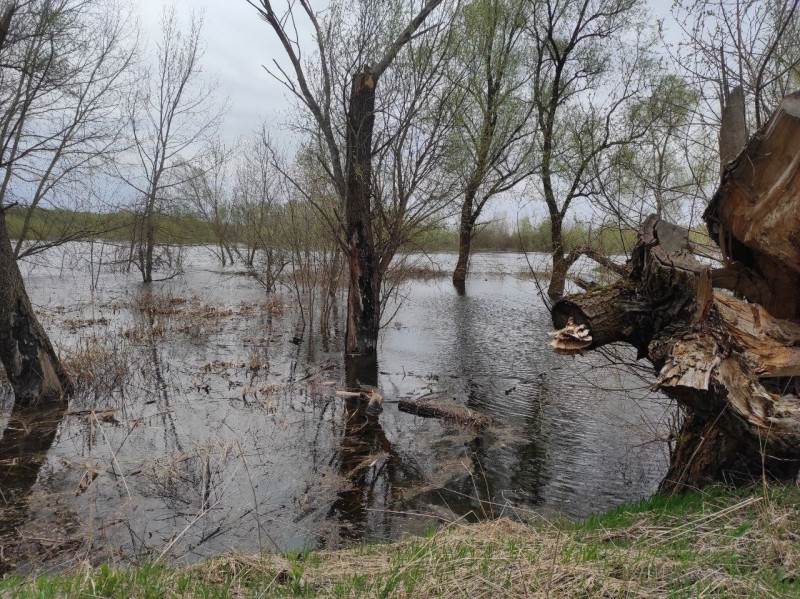 Десна 2023 - Ушня