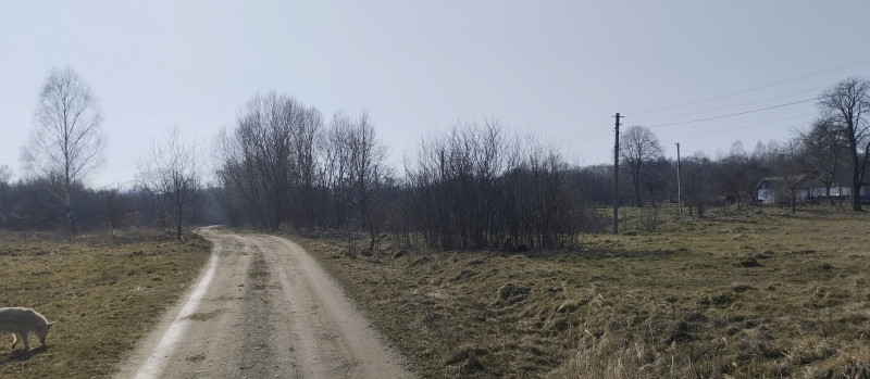 краєвид 3 - Горишнее