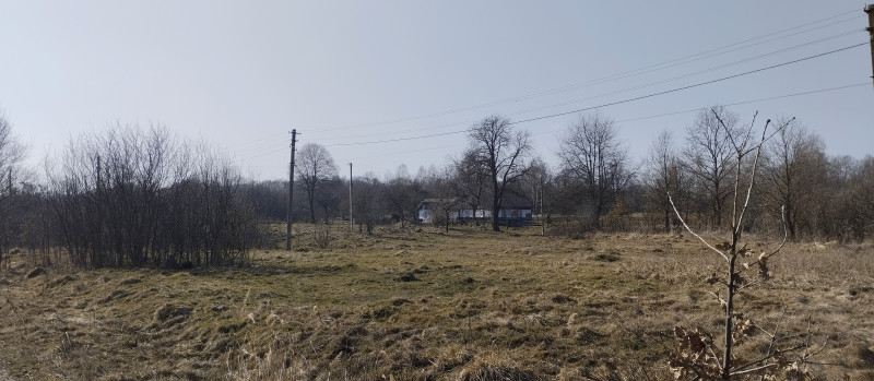 краєвид 3 - Горишнее