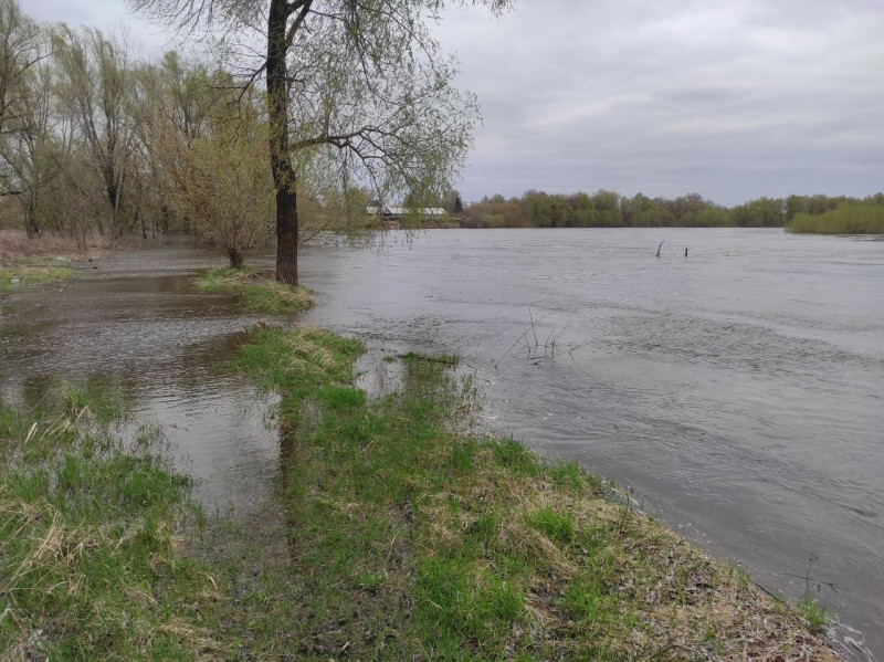 Десна 2023 - Ушня