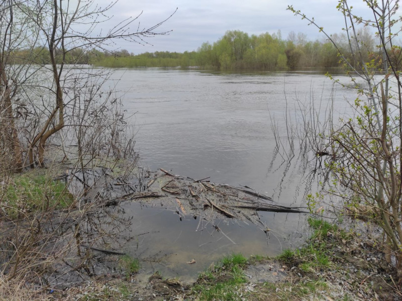 Десна 2023 - Ушня