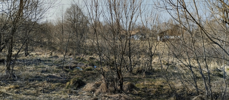краєвид 3 - Горишнее