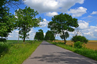 Старий Загорів