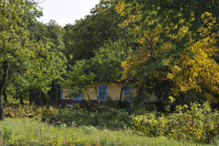 Садівські Дубини