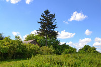 Старий Загорів