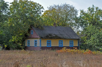 Садівські Дубини