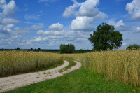 Старий Загорів